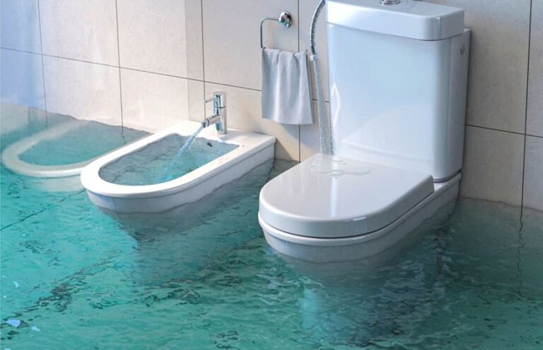Prevent Toilet Overflow: Effective Strategies to Avoid Clogged Drains