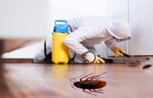 Cockroach Control Methods
